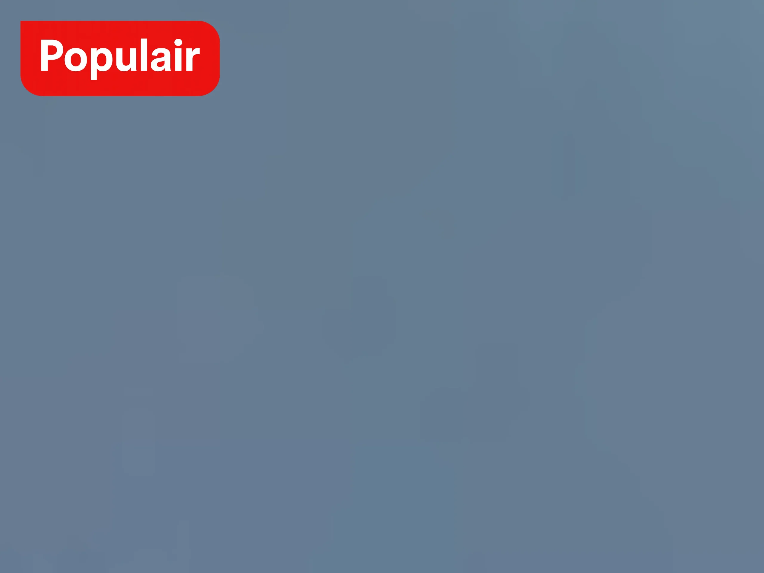 Zwembad met lichtgrijze liner van BoilerPools
